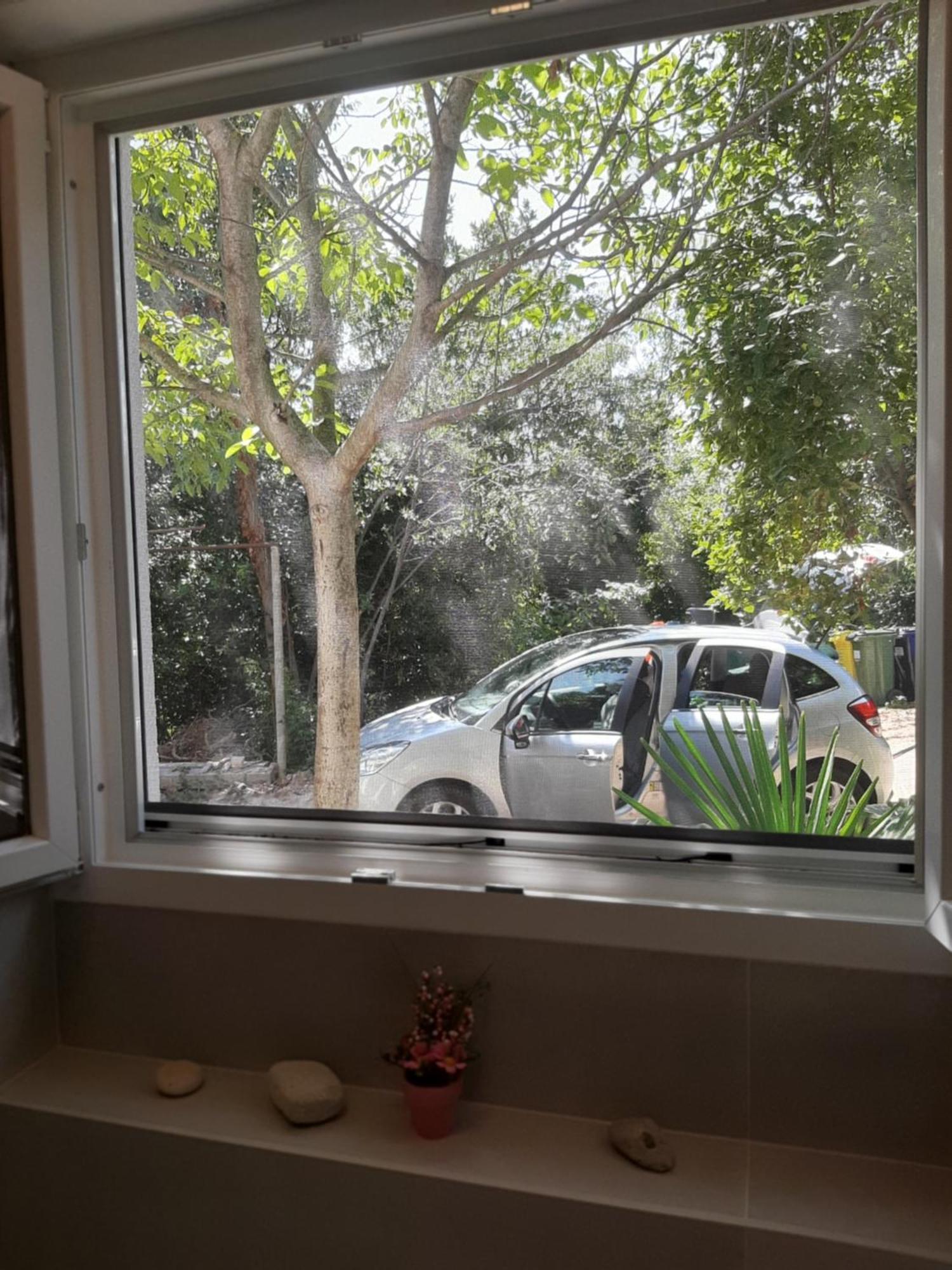 Apartment Fiore & Krk Town